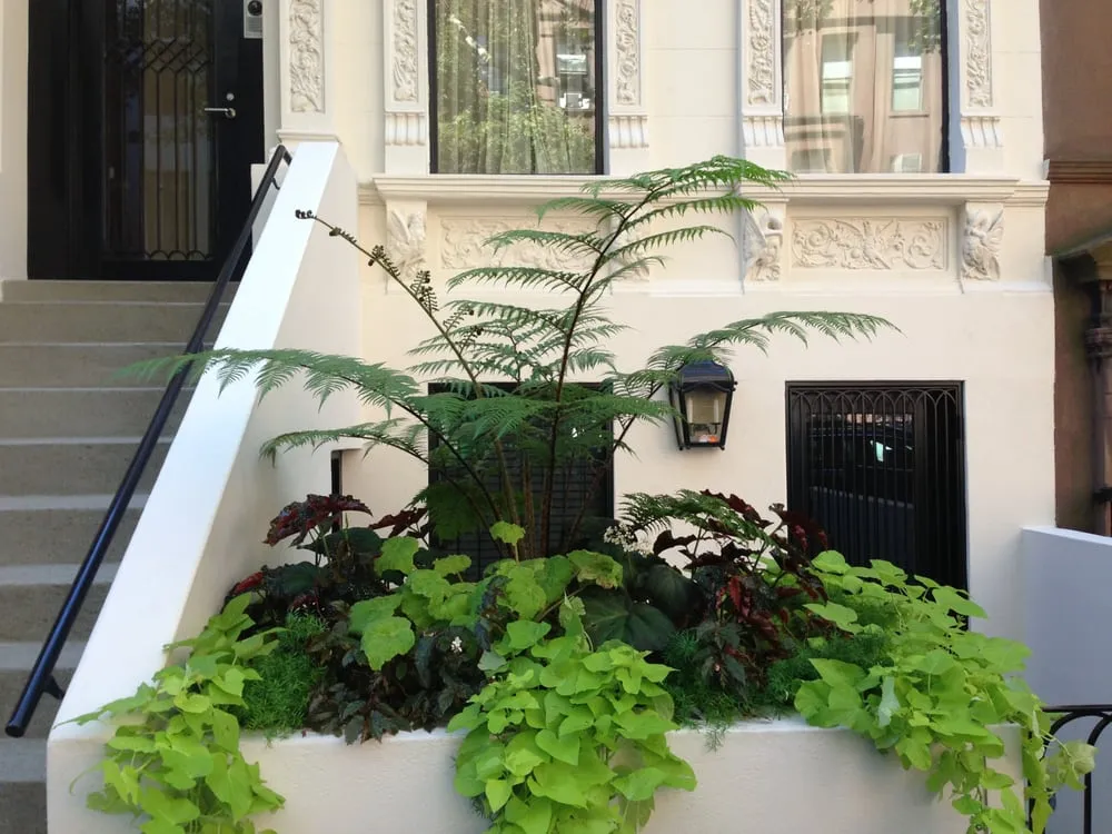 Custom outdoor landscaping for residential properties in Manhattan, NY by Susan Pollock Designs