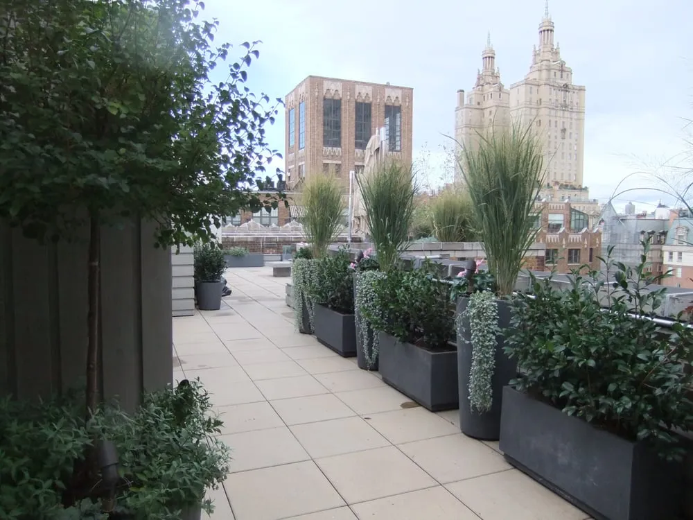 Local landscape design in Manhattan, NY by Susan Pollock Designs