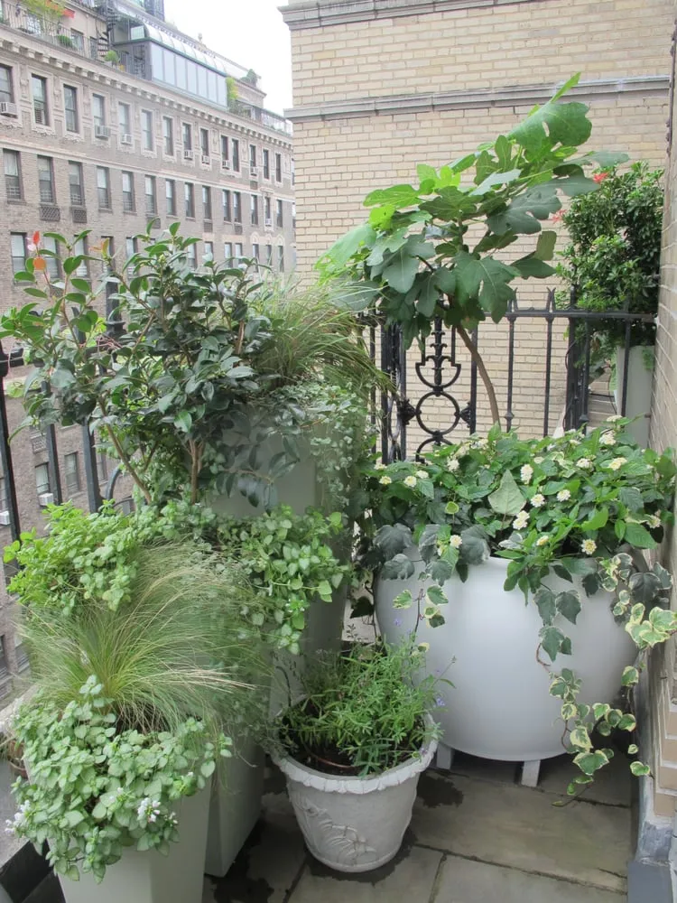 Affordable yard maintenance in Manhattan, NY by Susan Pollock Designs