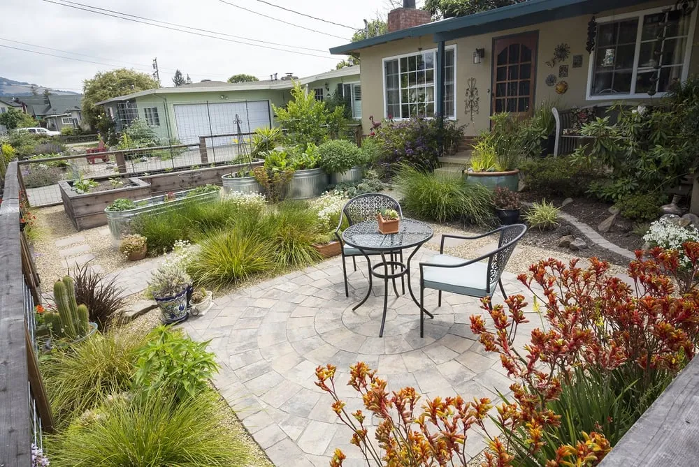 Professional yard cleanup service in Santa Rosa, CA - Susie Dowd-Markarian Landscape Design