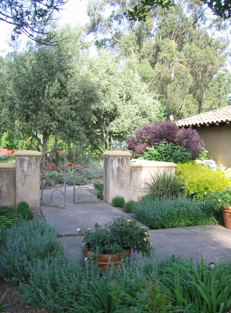 Top-rated yard maintenance with custom design in Santa Rosa, CA by Susie Dowd-Markarian Landscape Design