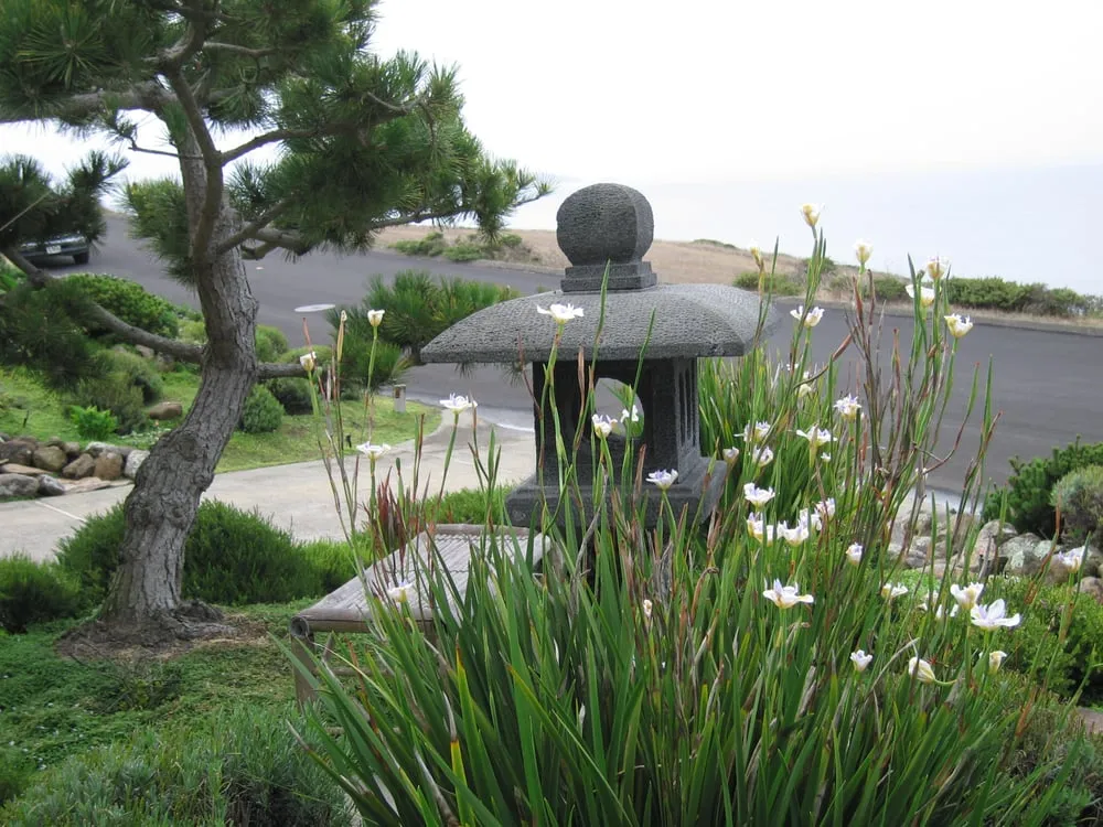 Trusted garden landscaping experts serving Santa Rosa, CA - Susie Dowd-Markarian Landscape Design