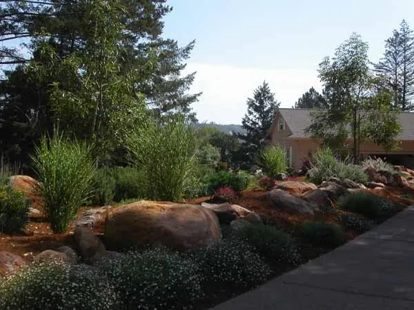 Reliable landscaping services experts serving Santa Rosa, CA - Susie Dowd-Markarian Landscape Design