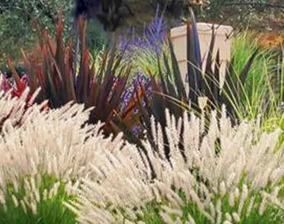 Top-rated landscape installation in Santa Rosa, CA by Susie Dowd-Markarian Landscape Design