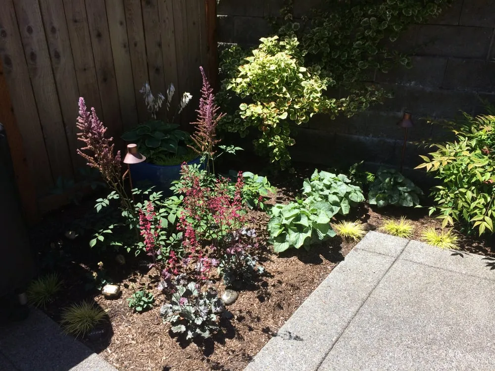 Expert outdoor landscaping experts serving Seattle, WA - Susie Landscape Designs, LLC