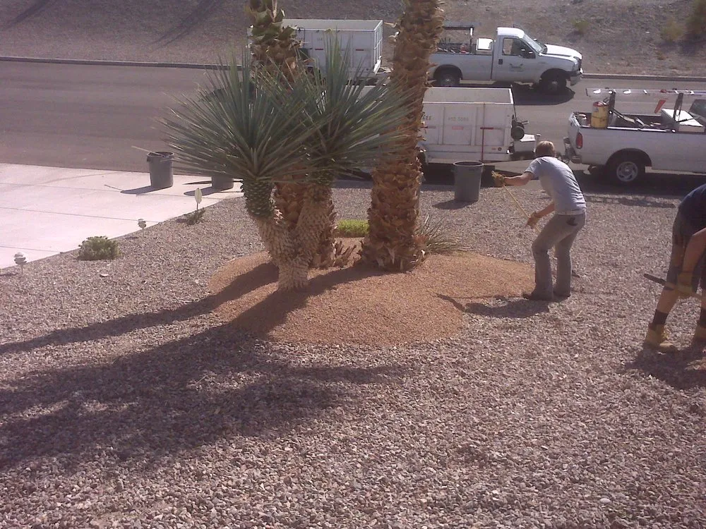 Reliable lawn care service in Lake Havasu City, AZ - Susie's Yard Care