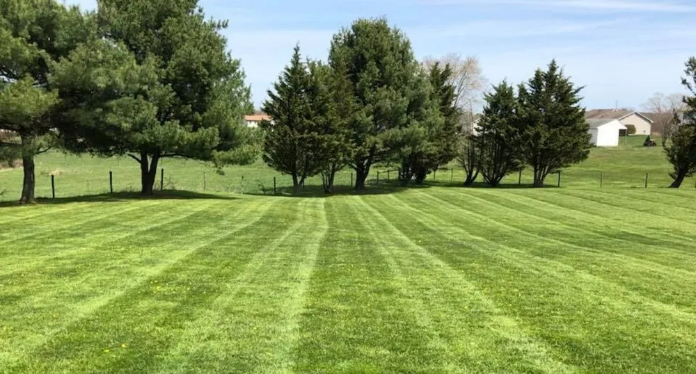 Reliable lawn care service in Port Deposit, MD - Susquehanna Lawn Care