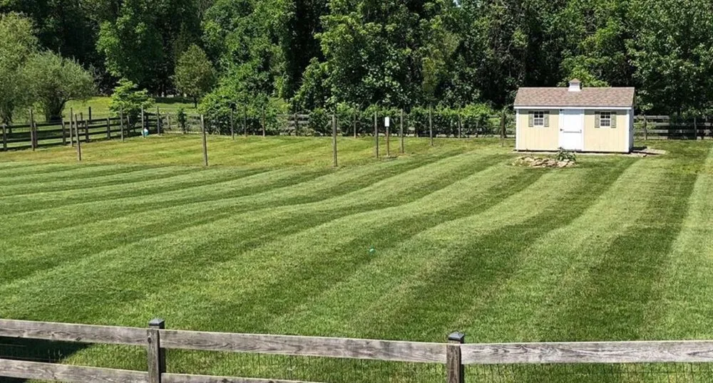 Professional yard cleanup service for outdoor upgrades across Port Deposit, MD - Susquehanna Lawn Care