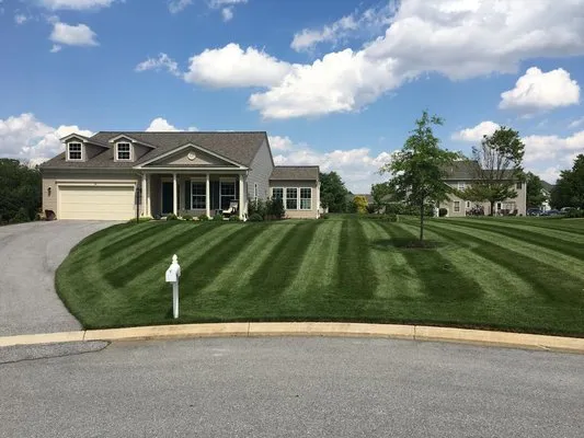 Susquehanna Lawn Care