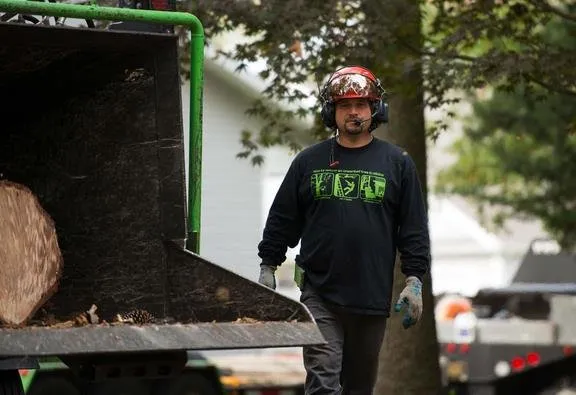 Professional residential landscaping experts serving Bridgeville, DE - Sussex Tree