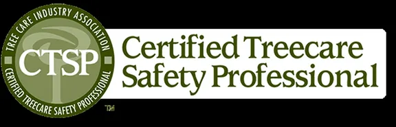 Affordable lawn mowing service in Bridgeville, DE by Sussex Tree