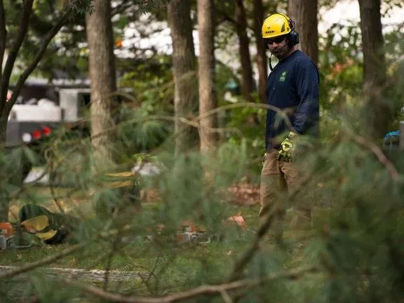 Affordable yard maintenance in Bridgeville, DE by Sussex Tree