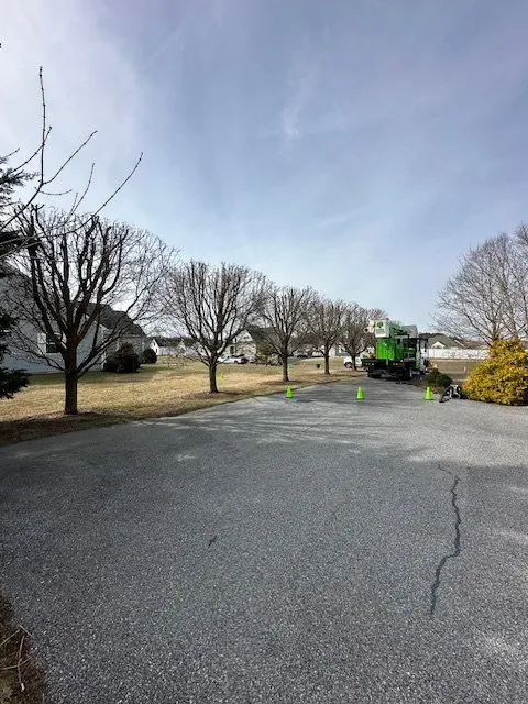 Professional outdoor landscaping for residential properties in Bridgeville, DE by Sussex Tree