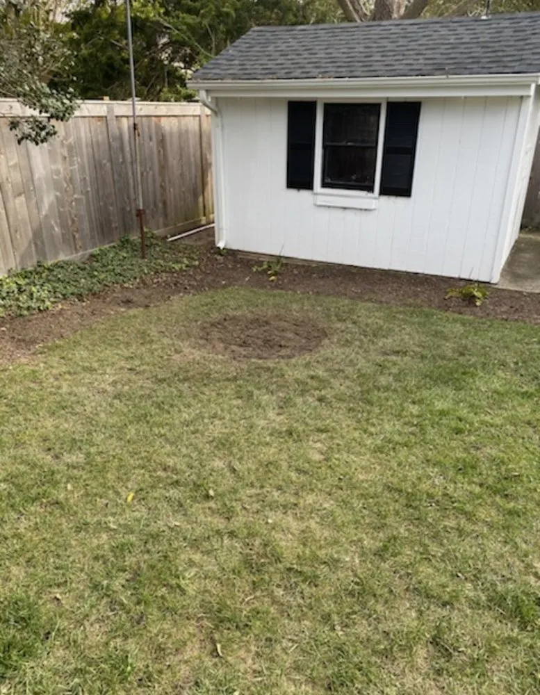 Custom yard maintenance in Bridgeville, DE by Sussex Tree