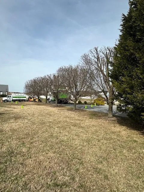 Local outdoor landscaping near you across Bridgeville, DE - Sussex Tree