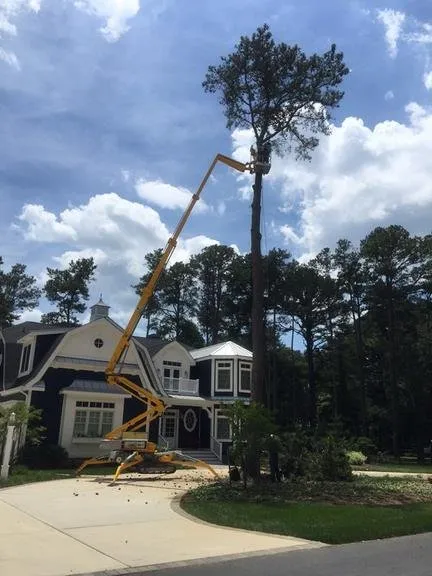 Reliable lawn mowing service for beautiful yards in Bridgeville, DE by Sussex Tree