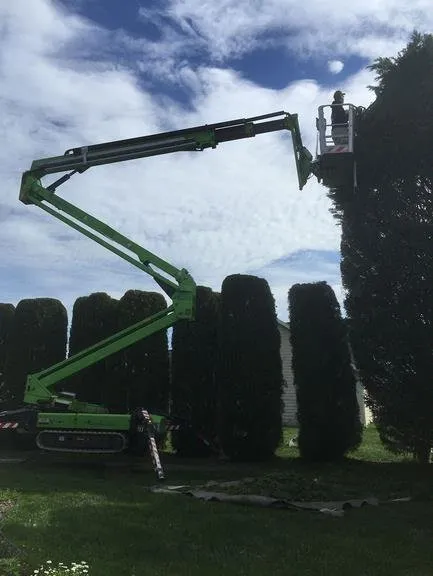 Local yard cleanup service with custom design across Bridgeville, DE - Sussex Tree