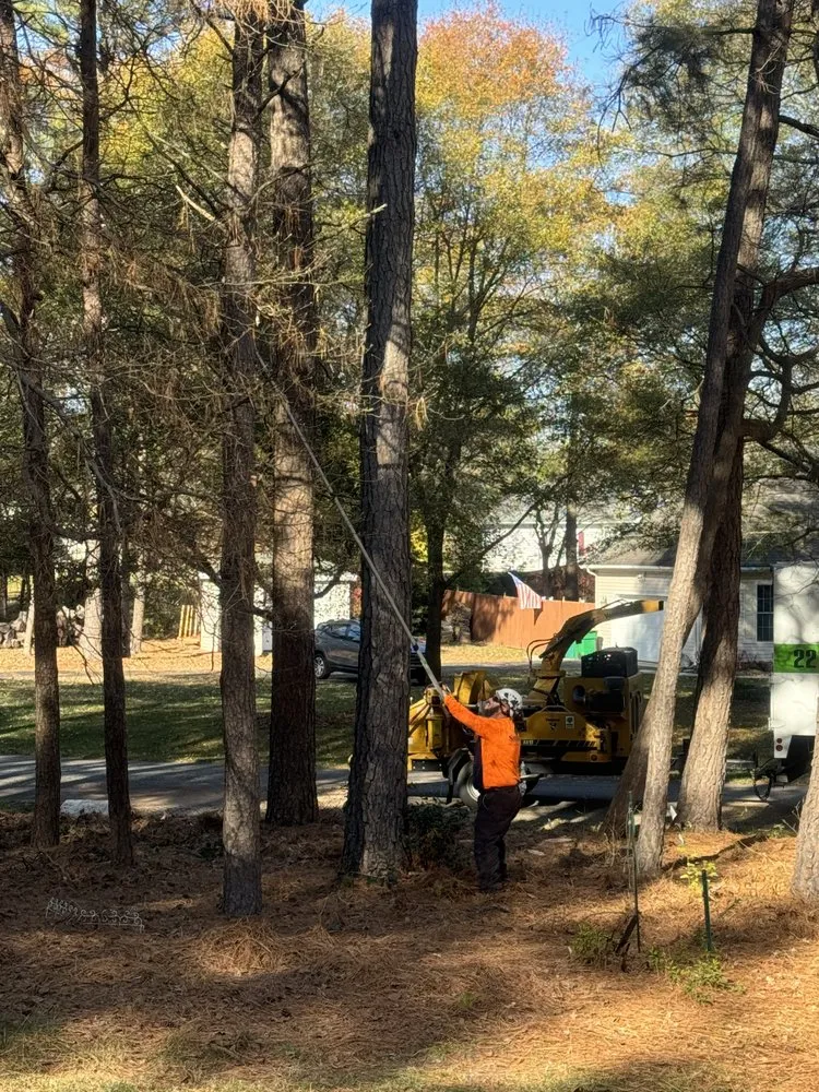 Local lawn care service in Bridgeville, DE - Sussex Tree