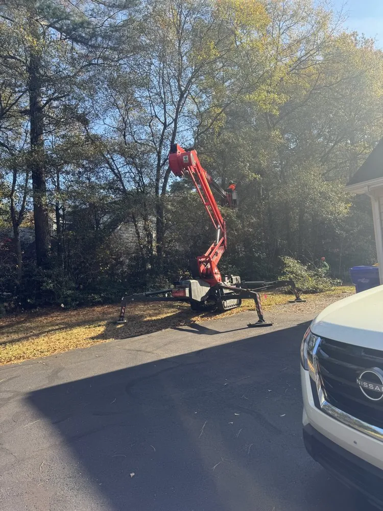 Affordable landscape installation in Bridgeville, DE by Sussex Tree