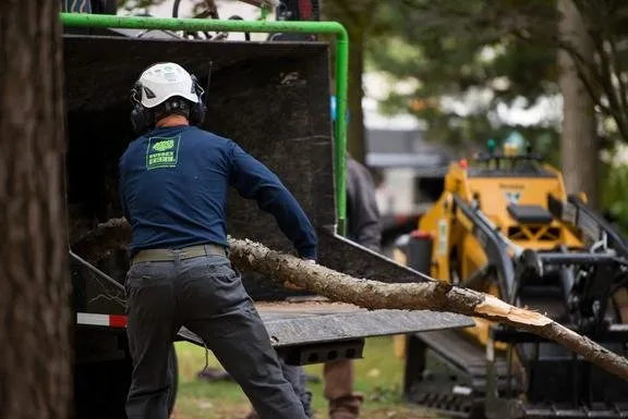 Top-rated landscape design experts serving Bridgeville, DE - Sussex Tree