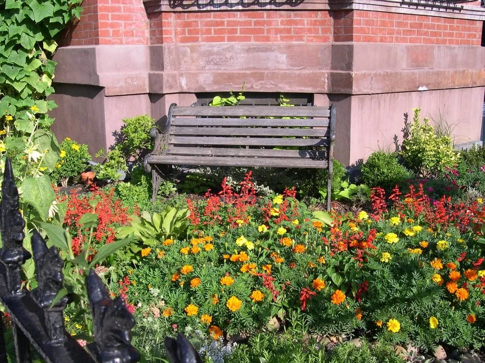 Professional landscape design for residential properties across Takoma Park, MD - Sustain Landscape Design