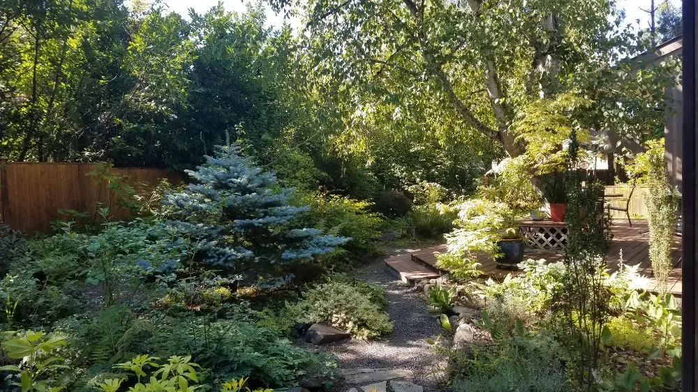 Professional residential landscaping in Eugene, OR by Sustain O Scapes