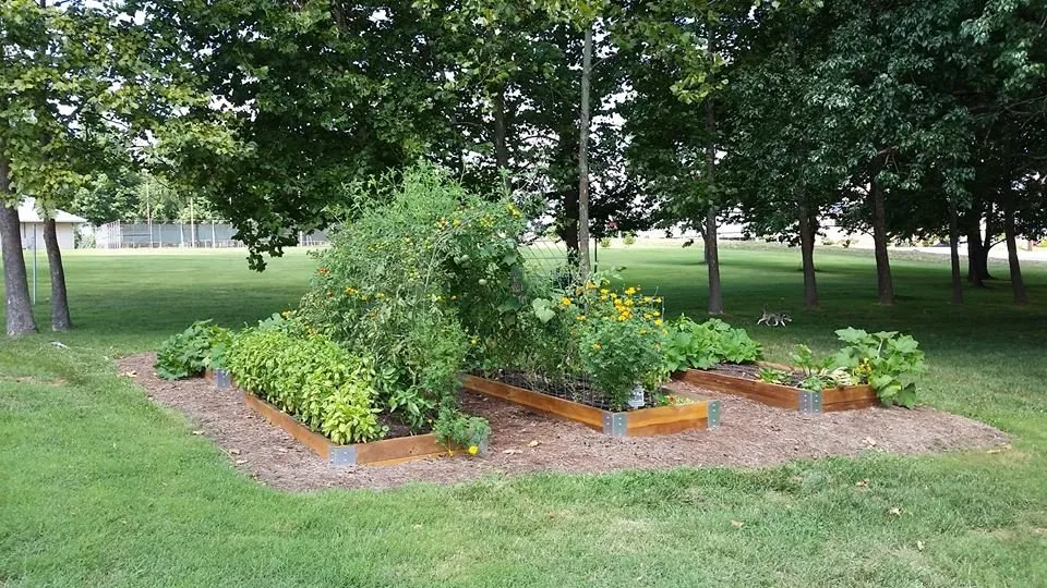 Trusted yard maintenance in Nixa, MO - Sustainable by Nature