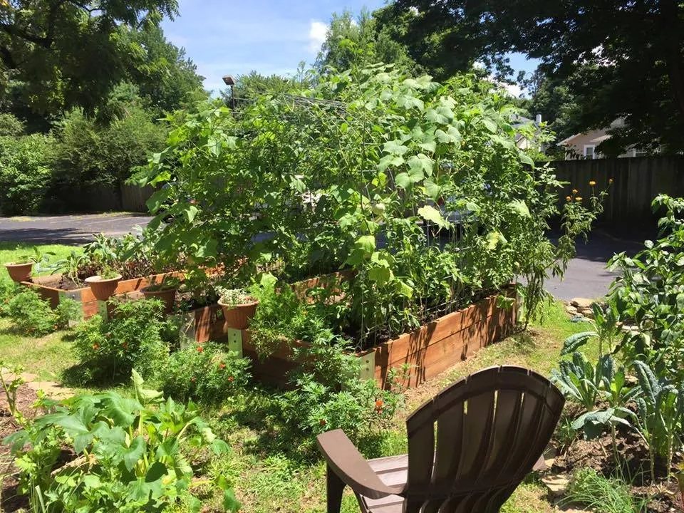 Custom landscaping services in Nixa, MO by Sustainable by Nature