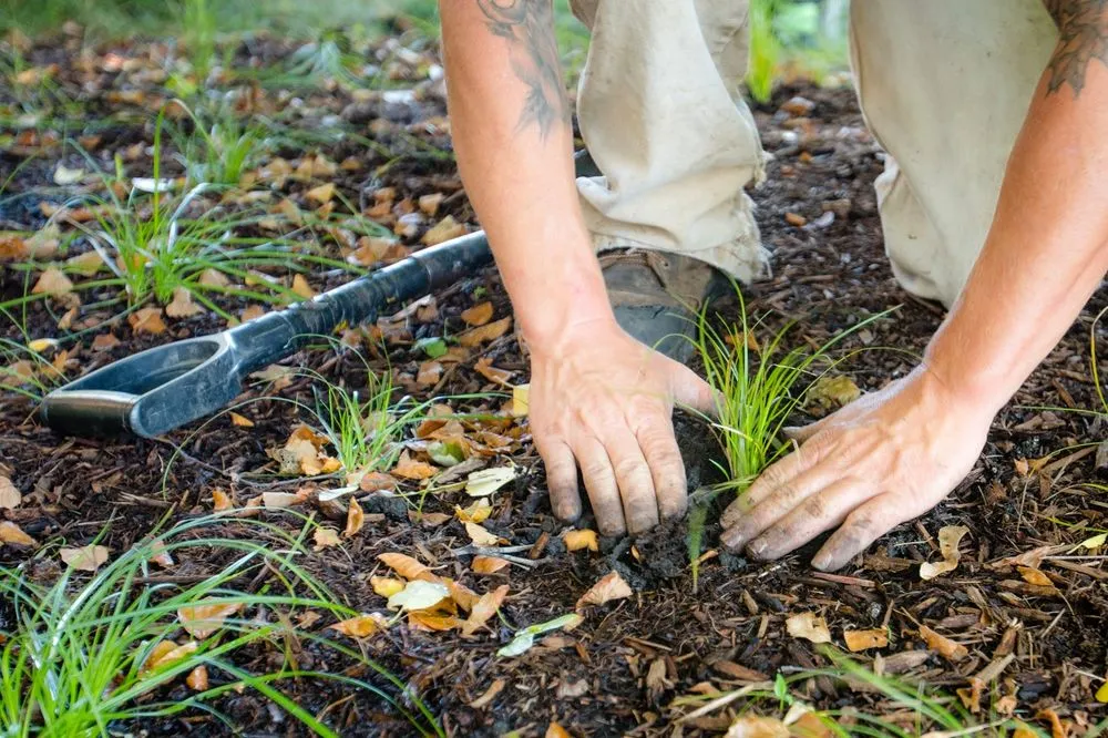 Reliable landscape installation in Rhinelander, WI by Sustainable Creations