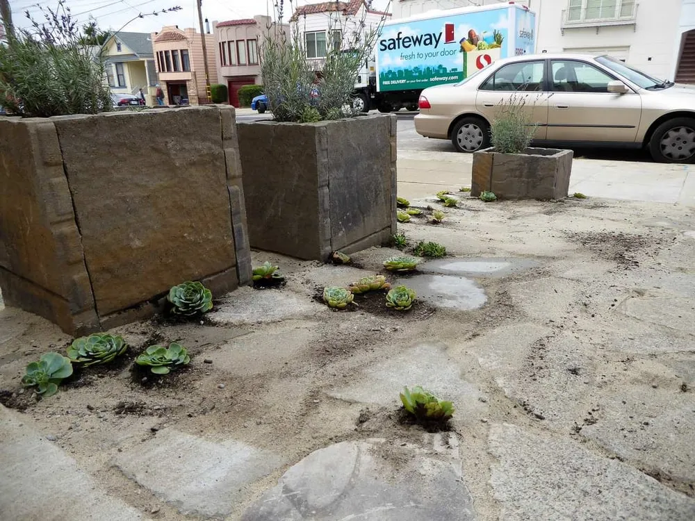 Professional residential landscaping near you in San Francisco, CA by Sustainable Crushing