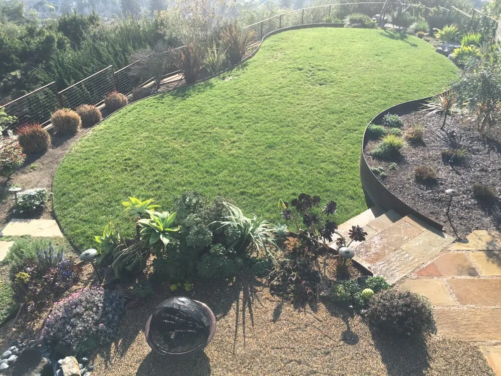 Expert yard cleanup service for beautiful yards in El Cerrito, CA by Sustainable Gardens