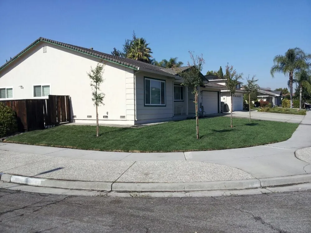 Professional lawn care service for homes across Pleasant Hill, CA - Sustainable Landscape & Gardening