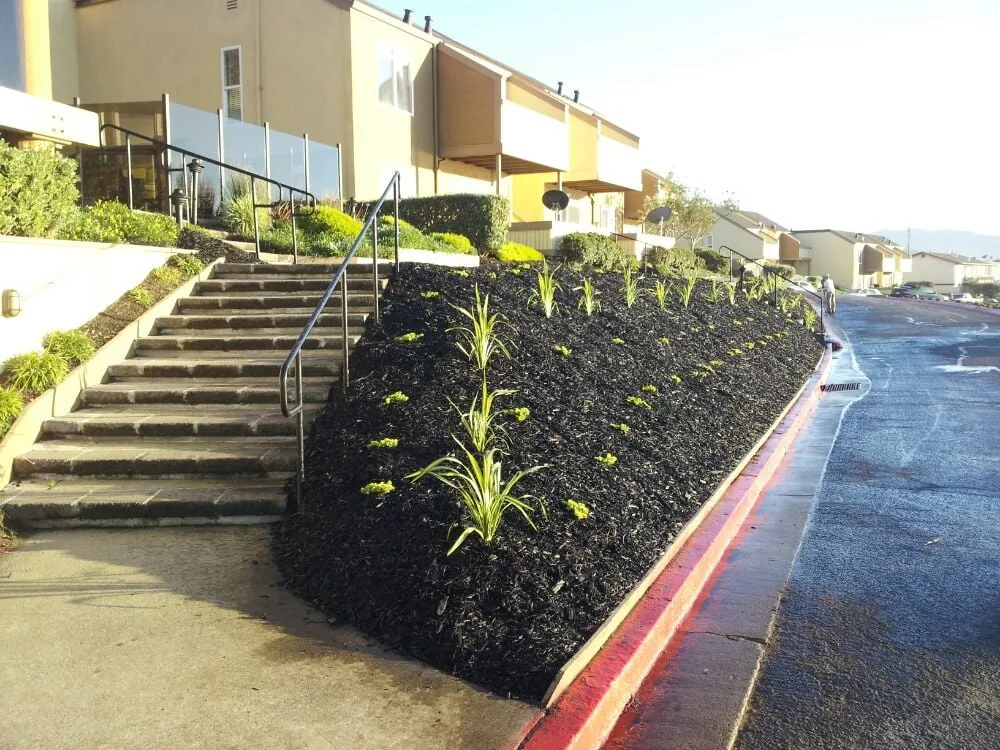 Custom yard maintenance for homes in Pleasant Hill, CA by Sustainable Landscape & Gardening