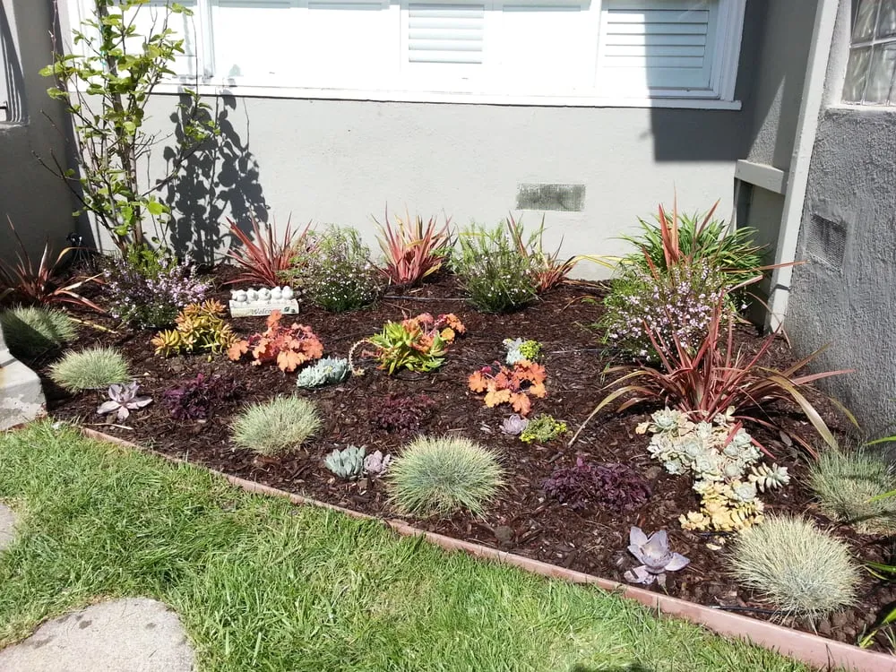 Local lawn care service in Pleasant Hill, CA - Sustainable Landscape & Gardening