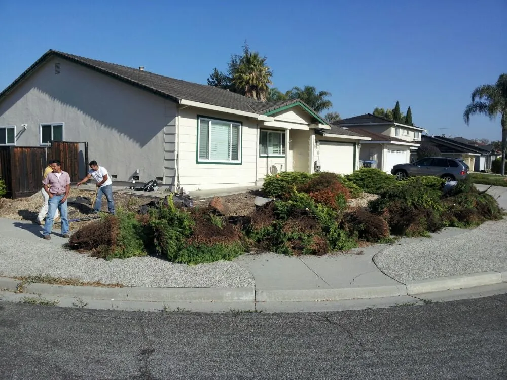 Local landscape design for year-round maintenance across Pleasant Hill, CA - Sustainable Landscape & Gardening