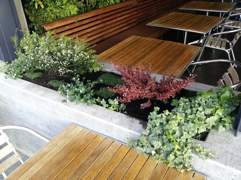 Trusted residential landscaping for beautiful yards across Pleasant Hill, CA - Sustainable Landscape & Gardening