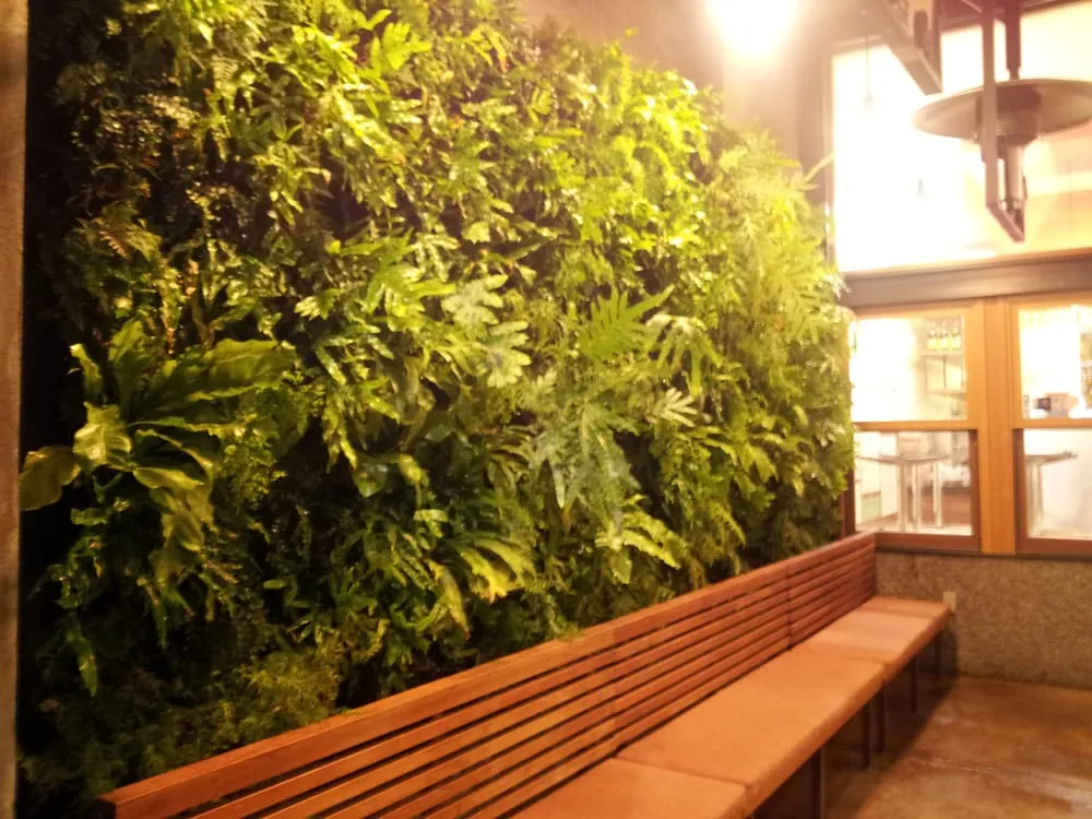 Local garden landscaping in Pleasant Hill, CA by Sustainable Landscape & Gardening