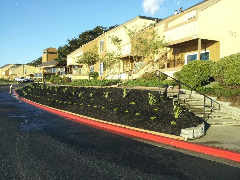 Affordable yard maintenance in Pleasant Hill, CA - Sustainable Landscape & Gardening