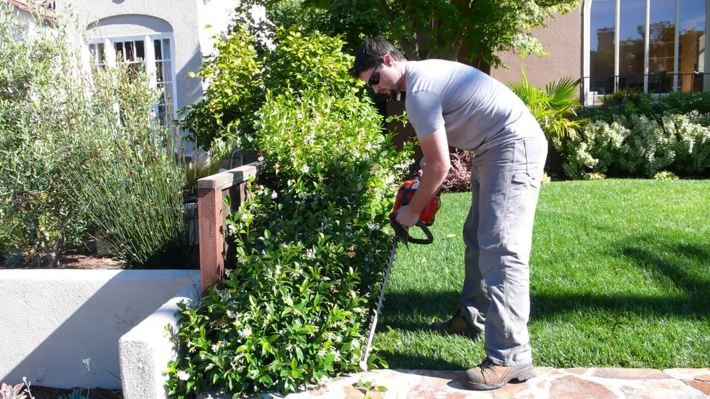 Custom landscape design in Pleasant Hill, CA by Sustainable Landscape & Gardening