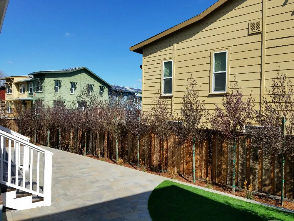 Reliable landscape installation with custom design in Pleasant Hill, CA by Sustainable Landscape & Gardening
