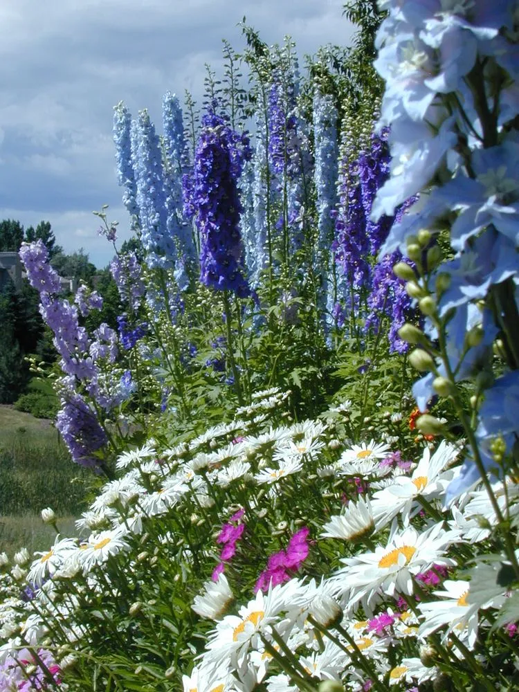 Custom lawn care service experts serving Lakewood, CO - Sustainable Landscapes - Colorado