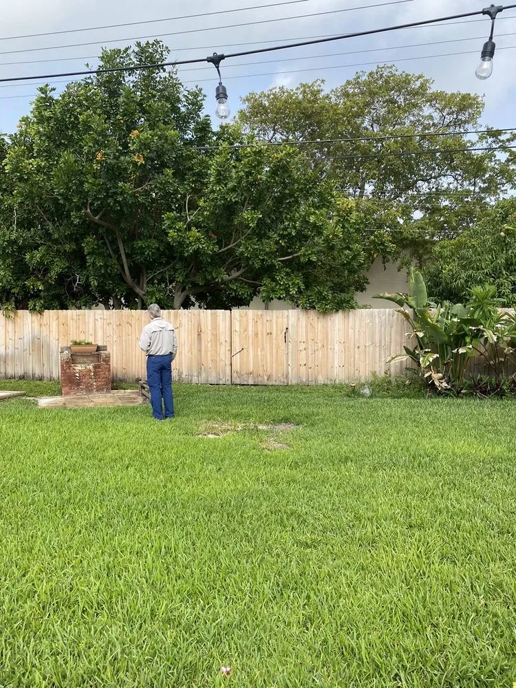 Reliable yard cleanup service for outdoor upgrades across Hollywood, FL - Sustainable Landscapes and Lawns