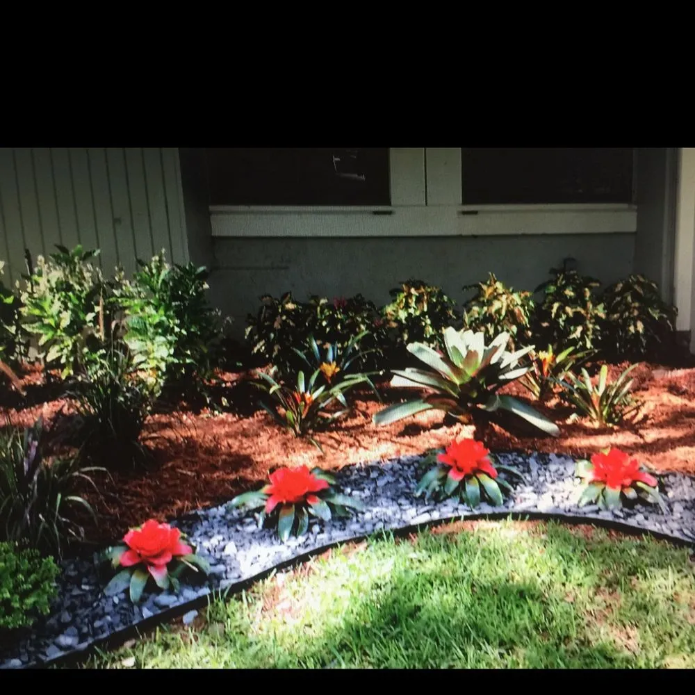 Reliable residential landscaping in Hollywood, FL by Sustainable Landscapes and Lawns
