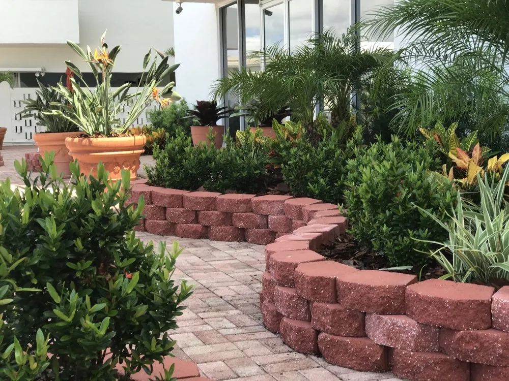 Expert yard maintenance for year-round maintenance in Hollywood, FL by Sustainable Landscapes and Lawns