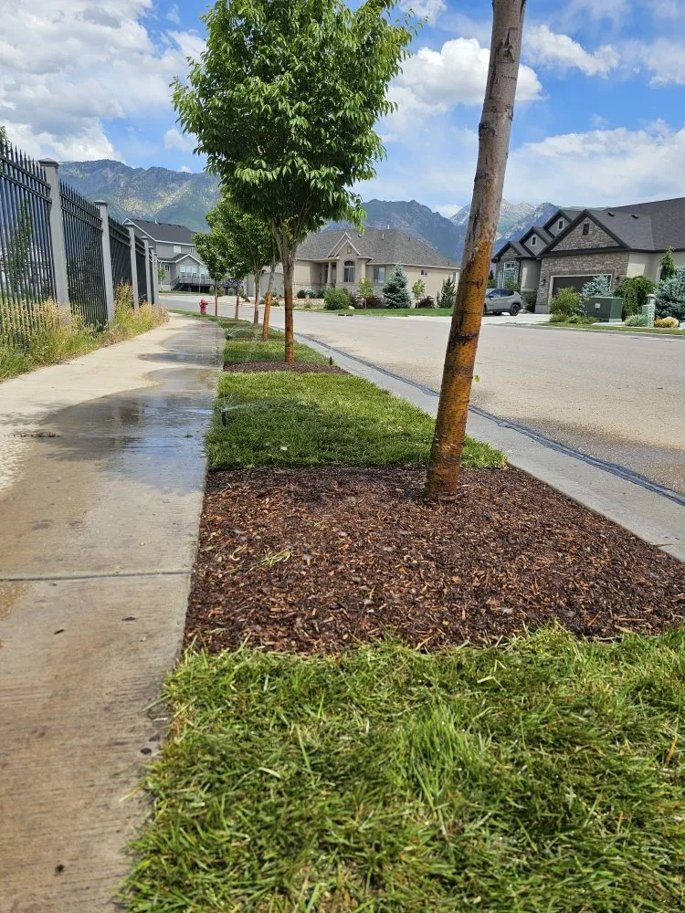 Local garden landscaping experts serving Bluffdale, UT - Sustainable Landscaping