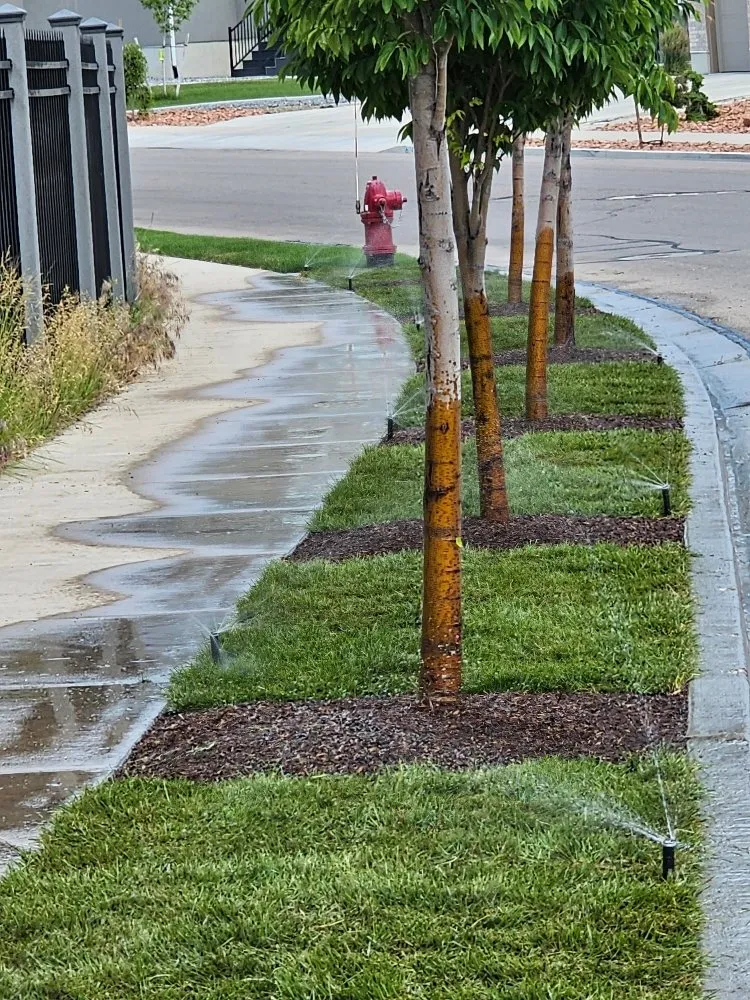 Reliable yard maintenance in Bluffdale, UT - Sustainable Landscaping