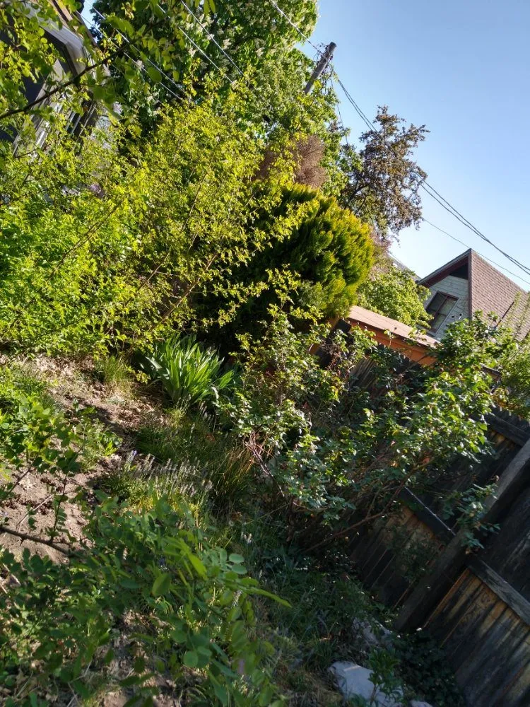 Expert residential landscaping experts serving Bluffdale, UT - Sustainable Landscaping