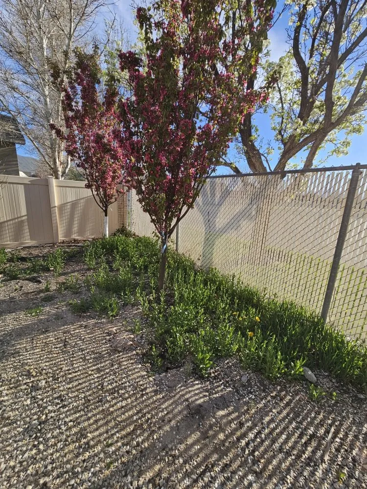 Reliable landscaping services for homes across Bluffdale, UT - Sustainable Landscaping