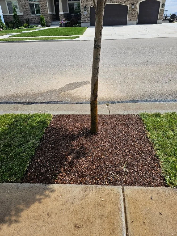 Trusted garden landscaping near you across Bluffdale, UT - Sustainable Landscaping