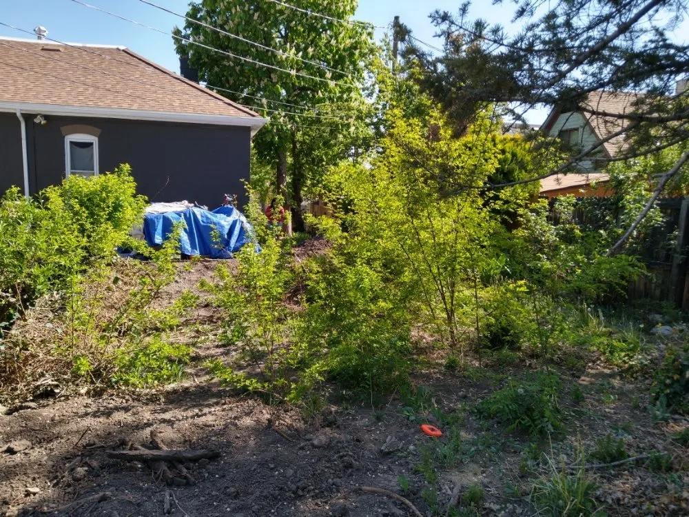 Top-rated lawn mowing service in Bluffdale, UT by Sustainable Landscaping